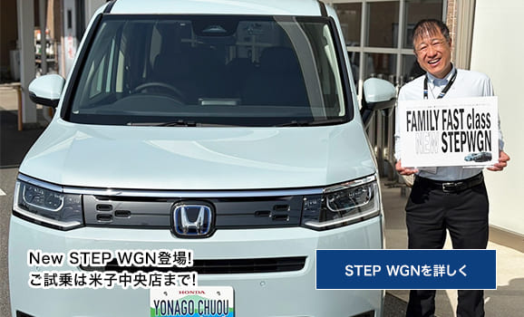 Honda STEPWGNbHondaTCg